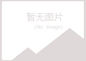 山东字迹媒体有限公司